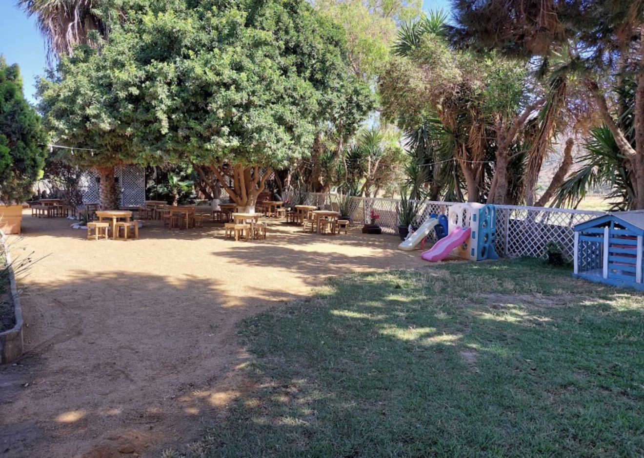 Mesas de madera bajo la sombra de los árboles durante el día