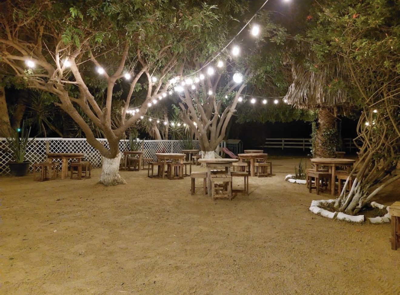 Jardín Eventos Neri iluminado de noche con series de luces entre los árboles